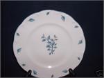 Haviland China Birchmere Pattern