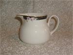 Royal Doulton China Enchantment Pattern TC1156