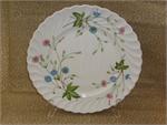 Haviland China Florence Pattern