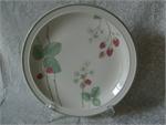 Wedgwood China Raspberry Cane Pattern